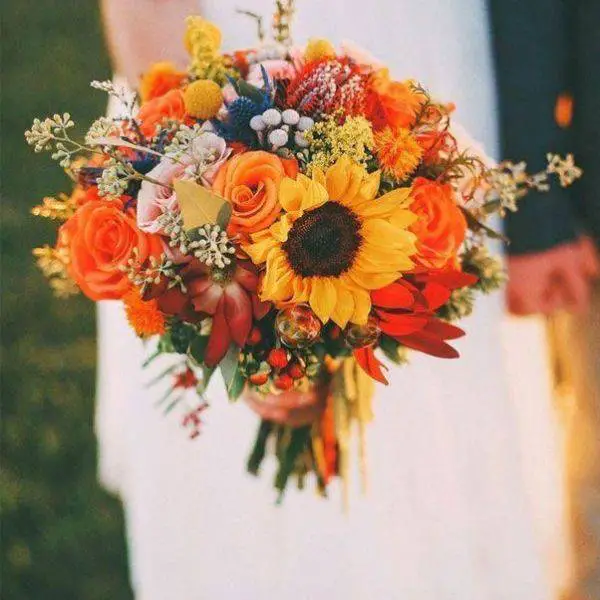 Sunflowers and Rust-Colored Leaves