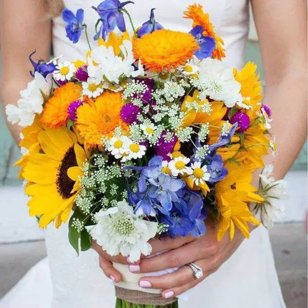  Sunflowers and Marigolds Mix