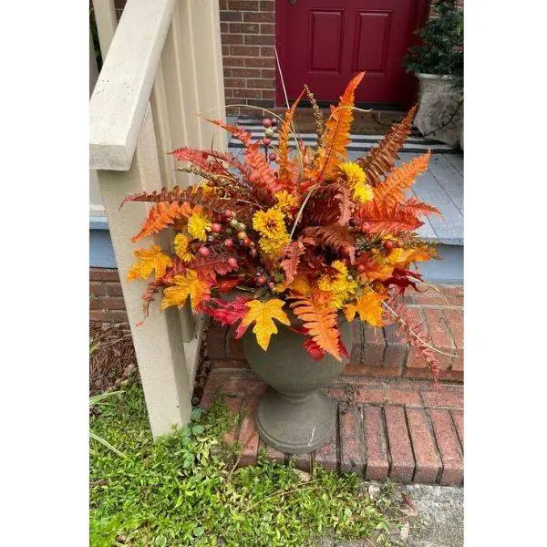 Autumn Ferns