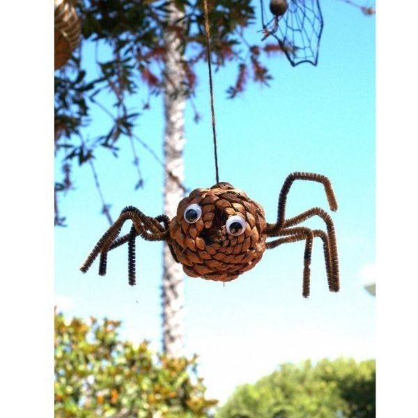 Pinecone Spiders