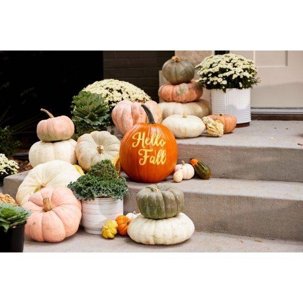  Neutral-Colored Pumpkins