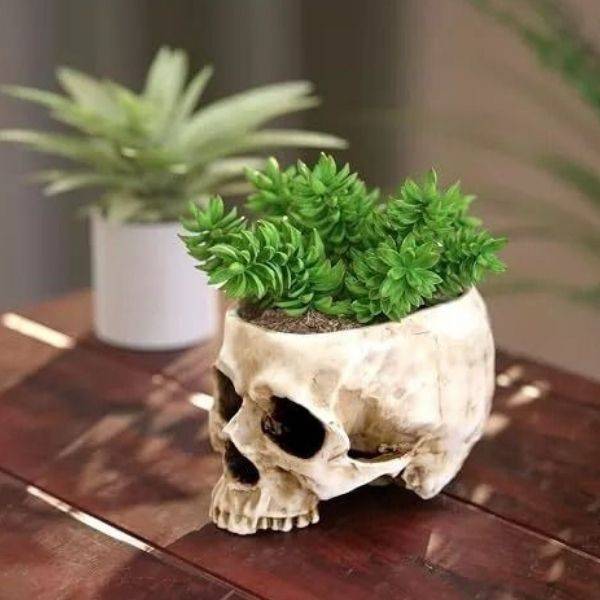Skull Planters