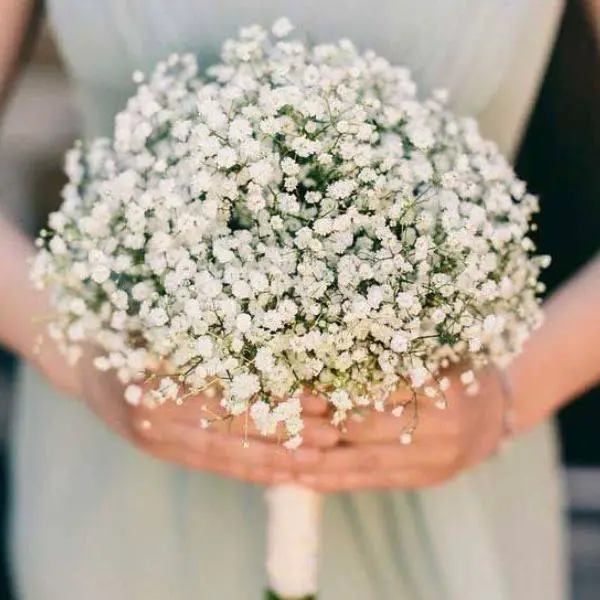  Simple Baby’s Breath Bouquet