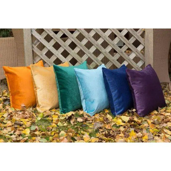 Velvet Cushions